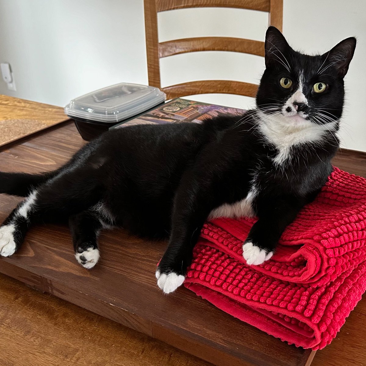 Bay Treasure Chest tweet media