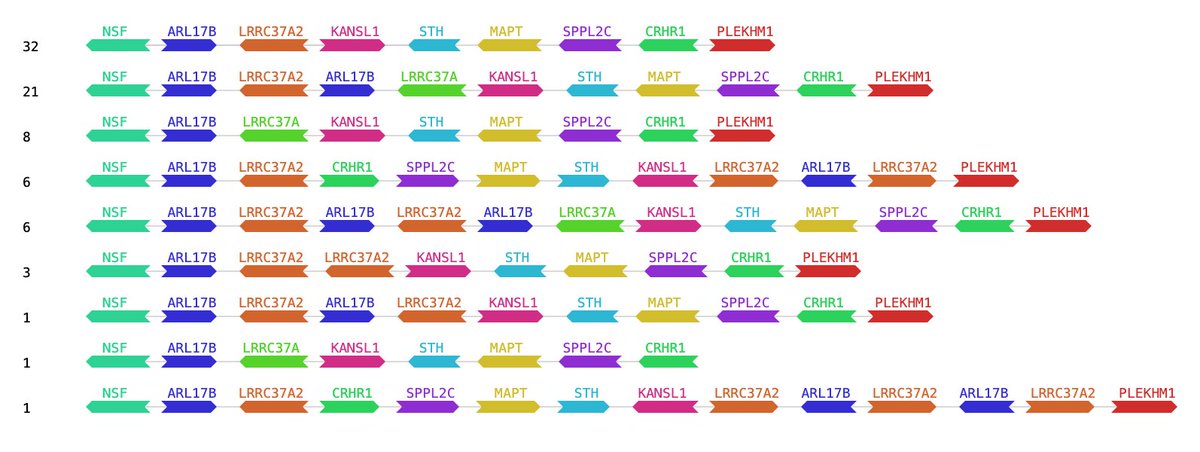 Pangene now published in Bioinformatics: doi.org/10.1093/bioinf…. In addition to showcasing applications (see the 17q21.31 inversion below), we also reviewed the theoretical formulation of bidirected graphs and discussed the definition and the finding of "bubbles" in such graphs.