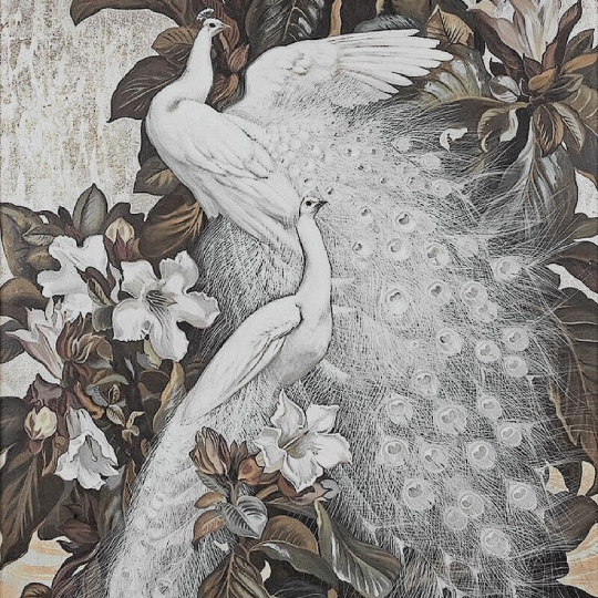 ⊰ 𝕬𝐄ℓ𝒚𝐒𝐒𝐄 ₒ tweet media