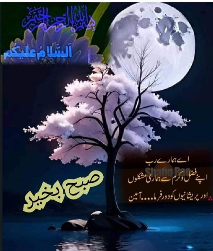 Zafar_1973's tweet photo. Good morning dear friends have beautiful day stay blessed https://t.co/9HSmWQwG8P