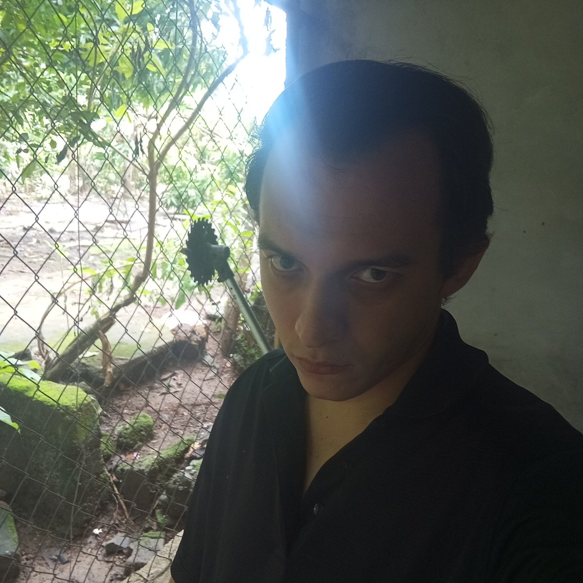 Hola cómo están #LikeCrazy #Natalicio #qiangjinjiu #AlSurDelCorazon