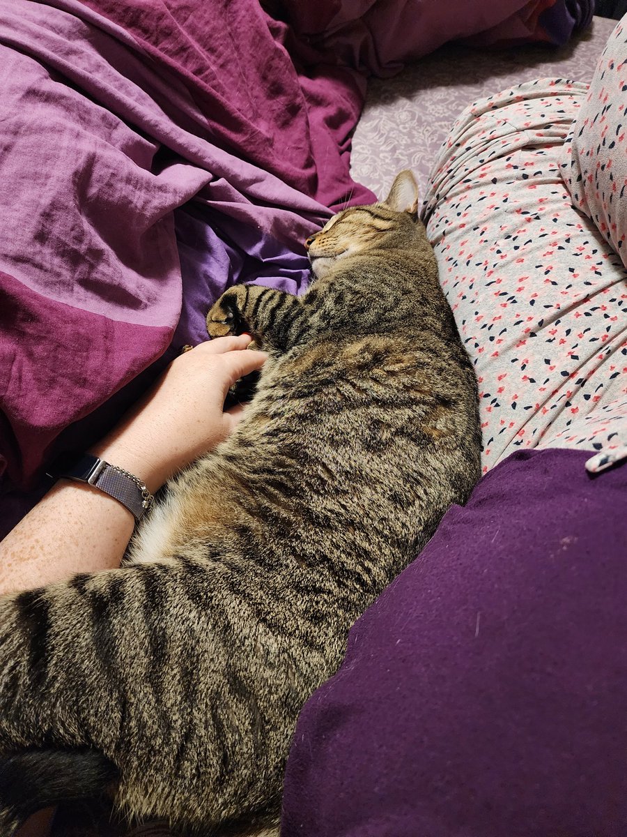 halimonkey's tweet photo. How my evening is going https://t.co/yNEwgRp006