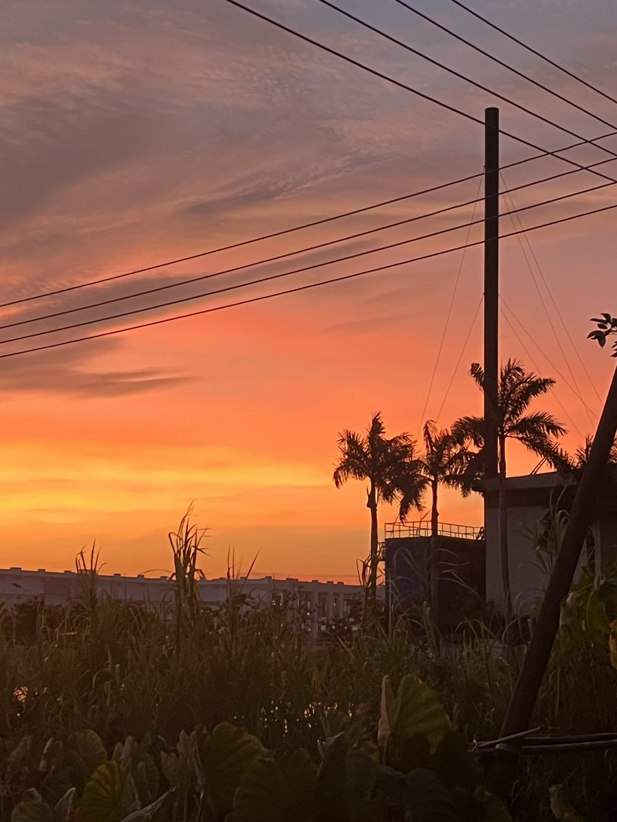 silverarrowcn's tweet photo. we’ve been blessed with stunning sunsets every day. 🌅🌇 #LifeInGuangzhou #SunsetMagic #LiveFully https://t.co/W4PoqO5jA5