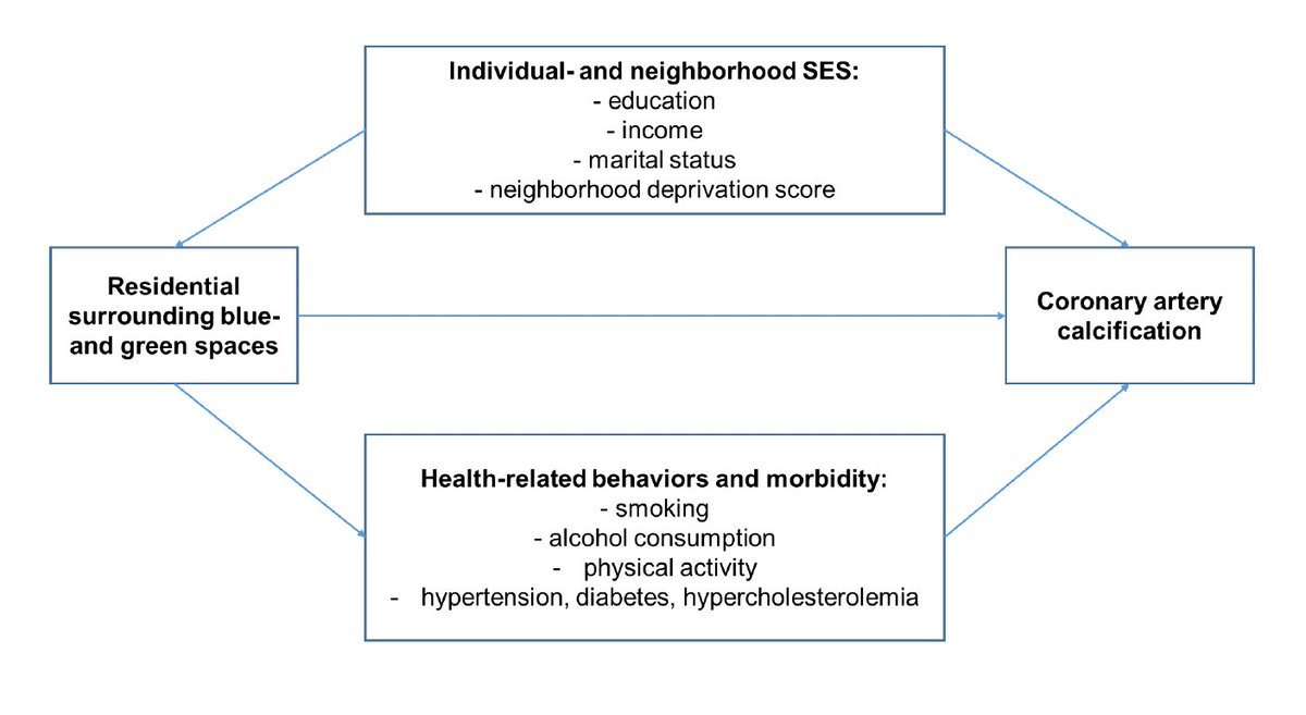 ankeetbhatt's tweet photo. Now out in @CircAHA from #CARDIA, association between access to #blue &amp; #green spaces and #CAC in nearly 3000 Black and White study participants. @HouLab_FSM @dmljmd 

https://t.co/jKIE6FCd3J https://t.co/V45TqhIEnk