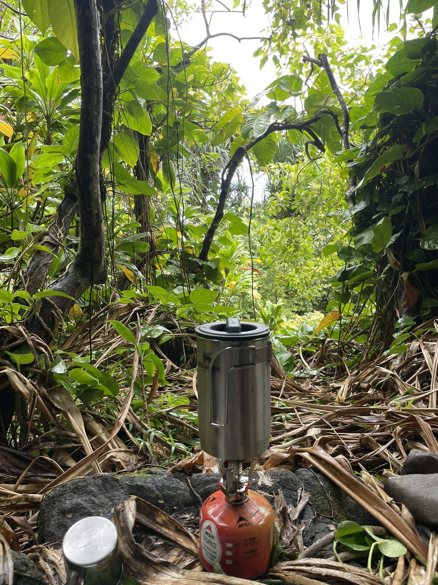 dogelonarmy's tweet photo. Coffee in the Jungle.
Wish you were here ❤️ https://t.co/uFn8kdzs7G