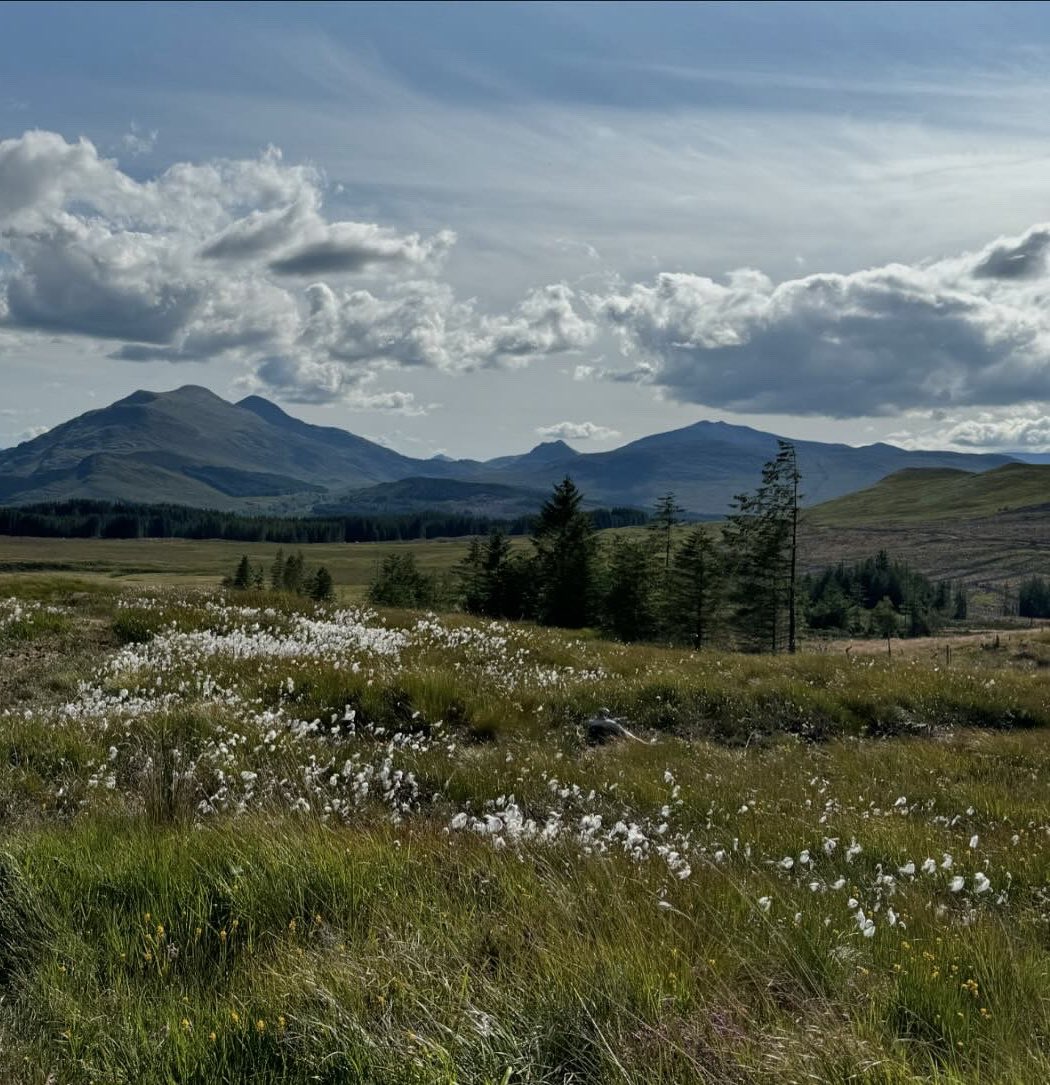 lorrrlane's tweet photo. Beinn a’ Chaorainn &amp; Beinn Teallach, near Ft. William.  
Two Munroes, on a surprisingly hot and sunny Scottish day (even at the summits)!
Legs and lungs feeling it on some sharp ascents! https://t.co/P4WrqkW8TR