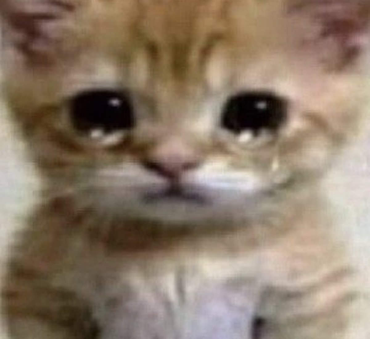 ____Lexiii_'s tweet photo. hoy se me rompió la muela y si o si me la tengo que sacar...yo ya tenia fuertes inseguridades por ser mas fea que la mierda y ahora estoy peor :( https://t.co/QXKlngMPVE