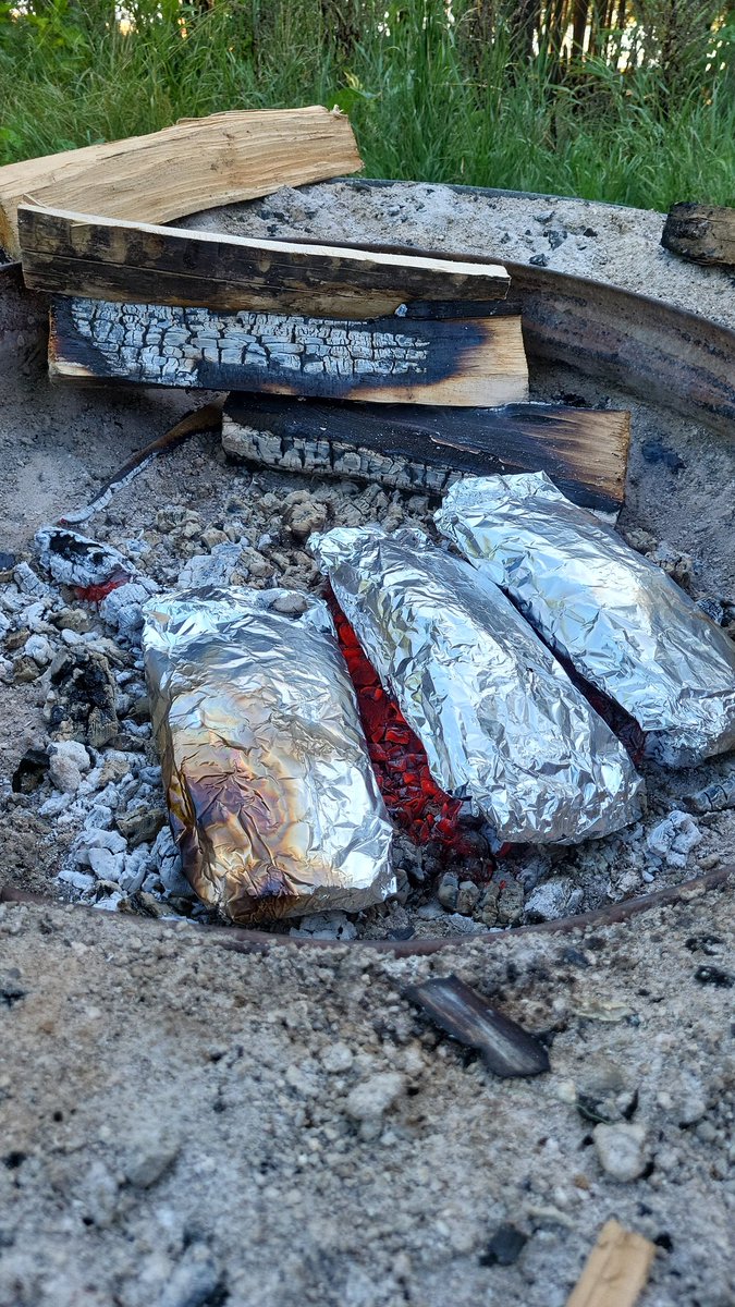 Traci Rhoades tweet media