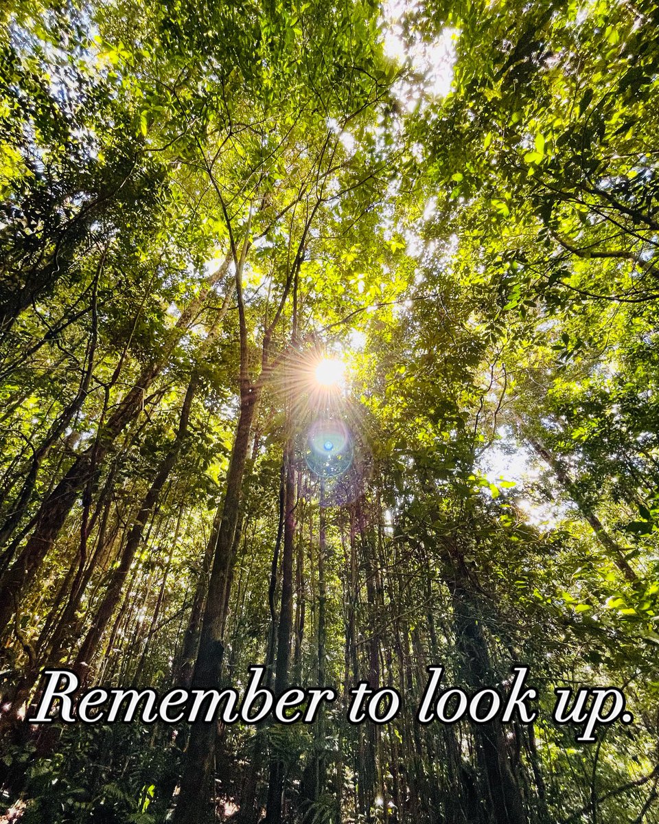 Dr David Wakeham tweet media