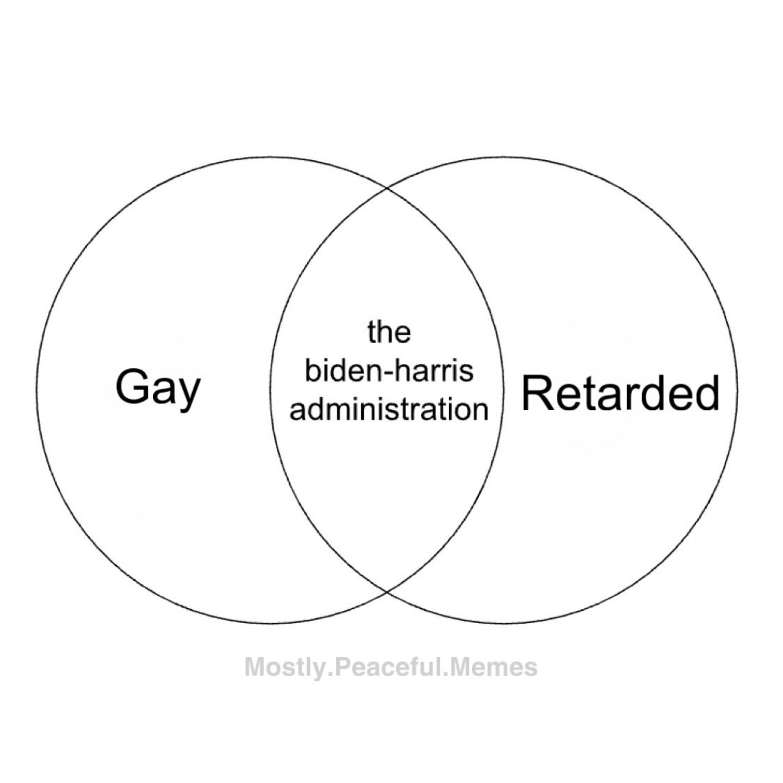 MostlyPeaceful's tweet image. 