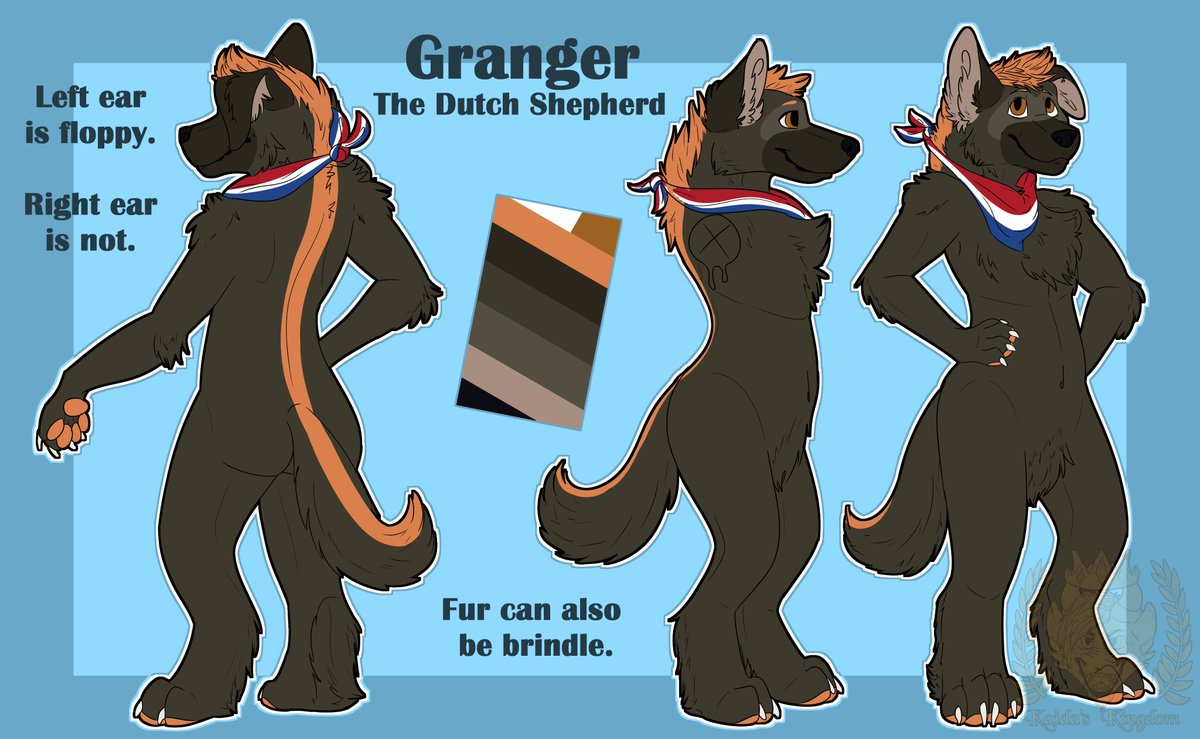 GrangerTheDog tweet media