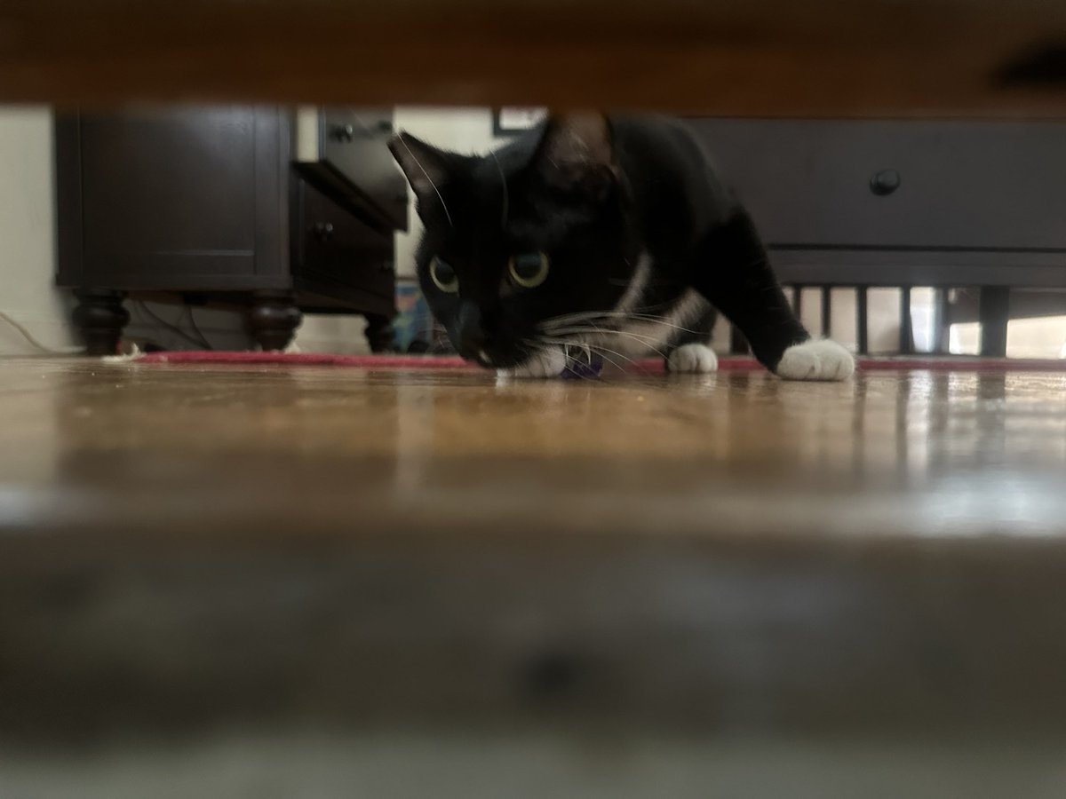 Danny Deraney tweet media