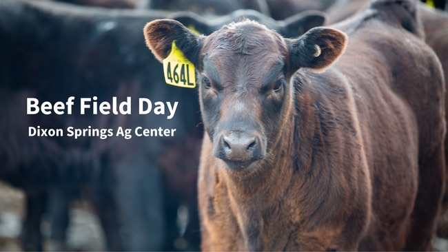 Beef Field Day at Dixon Springs Ag Center is quickly approaching! Check out the link below to find instructions on how to register. 
ow.ly/Kjyi50SJHp9.