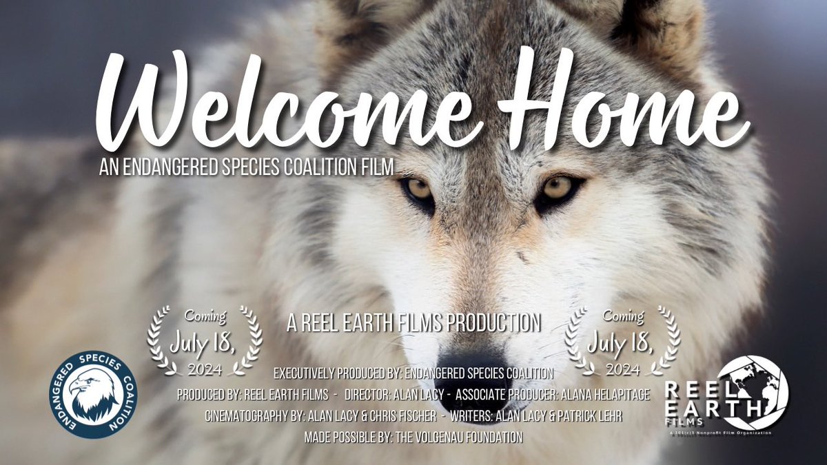 Reel Earth Films tweet media