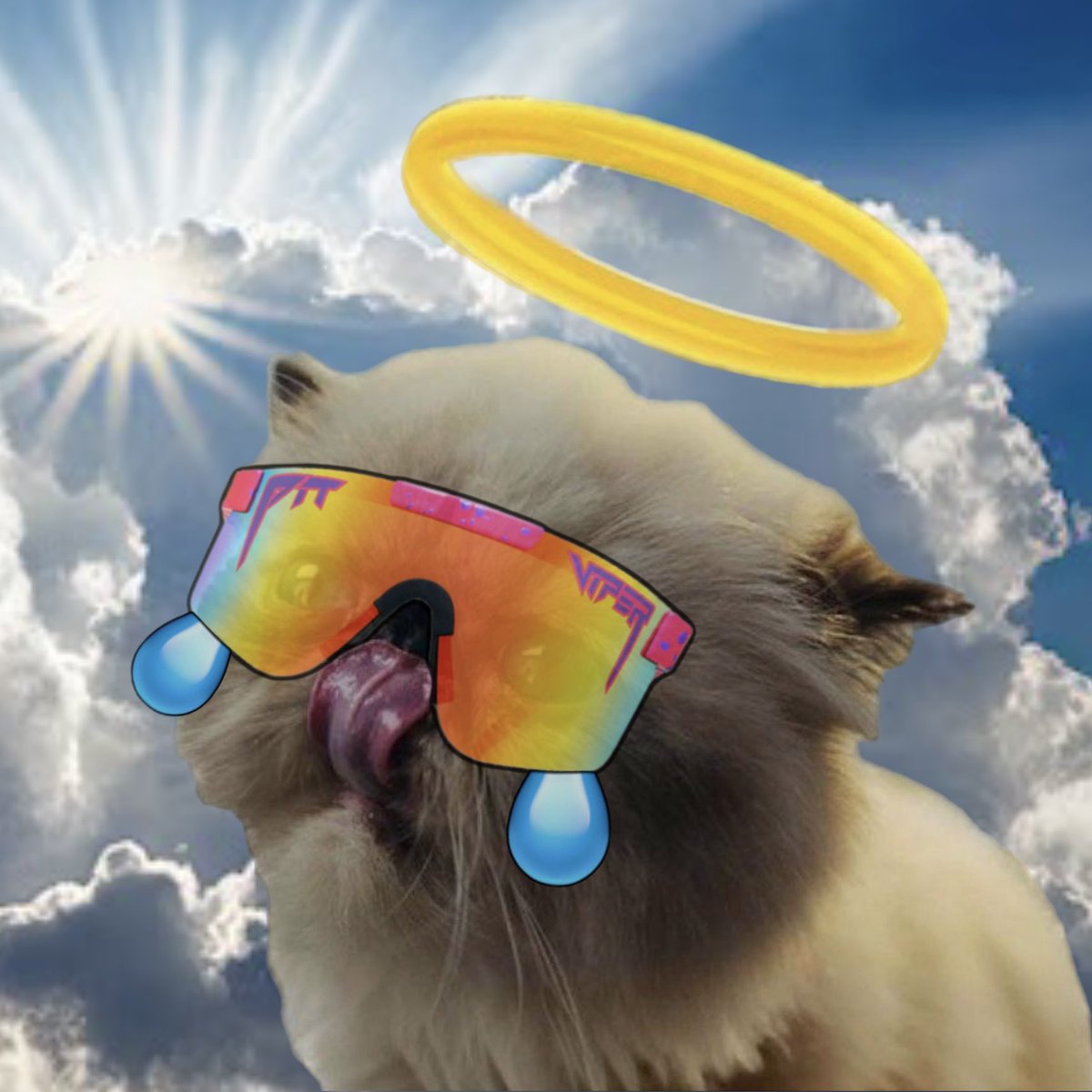 MrMogglesOnBase's tweet photo. @1CrypticPoet @base @coinbase @jessepollak amazing grace how sweet the mog ! 🫵😼 https://t.co/tXNObjS5Ih