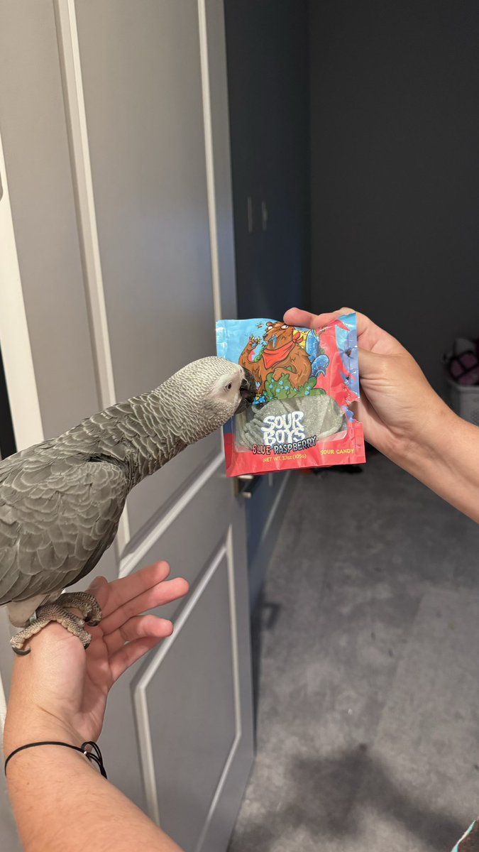 Seth Farley tweet media