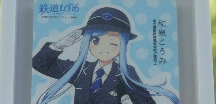 南ラピさん専用 和泉こうみ