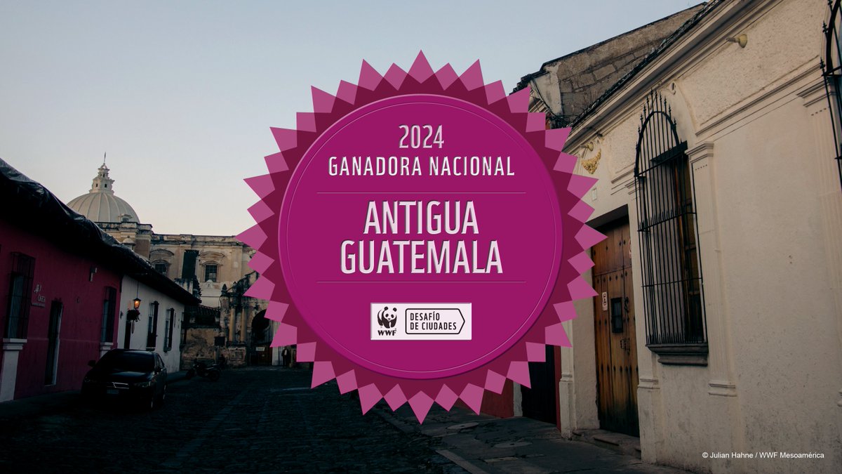 WWF_MAR's tweet image. Antigua Guatemala 🇬🇹 es la ciudad ganadora a nivel nacional del Desafío de Ciudades de WWF 🏙️🎉

El #OPCC es una de las competencias climáticas más prestigiosas para las ciudades y gobiernos locales a nivel mundial 🤓🔗
wwfca.org/?390110/Antigu…

#DesafíoDeCiudades