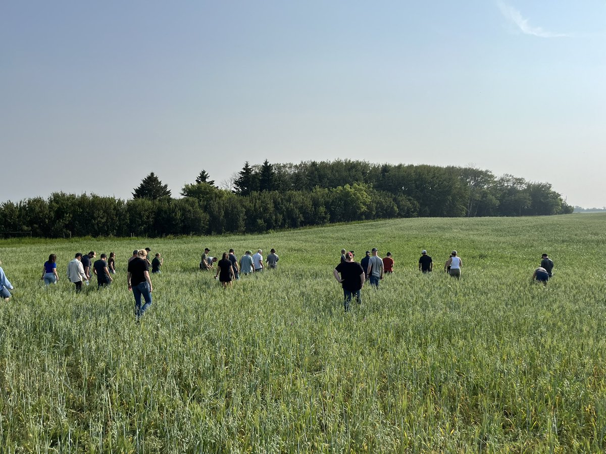 ColImpactCarbon's tweet photo. Last stop on our field tour is at @TimmCattle where we’re learning about their 2024 cover crops and grazing plans followed by a presentation from @SAWatersheds https://t.co/KVXD9nzEnP