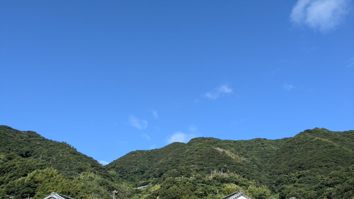 aucfanpartners's tweet photo. おはようございます
愛媛県南予は快晴
昨日家の隣からたくさんのトンボが飛び立ちまして
昨年裏の家が取り壊され
水路＋空き地ができたことで
一大生息地になったのだと気付きました
#企業公式が毎朝地元の天気を言い合う #企業公式相互フォロー #愛媛 

#ポケモンスリープ ぐっすり
本日お越しの皆様 https://t.co/KMKyR0EKha
