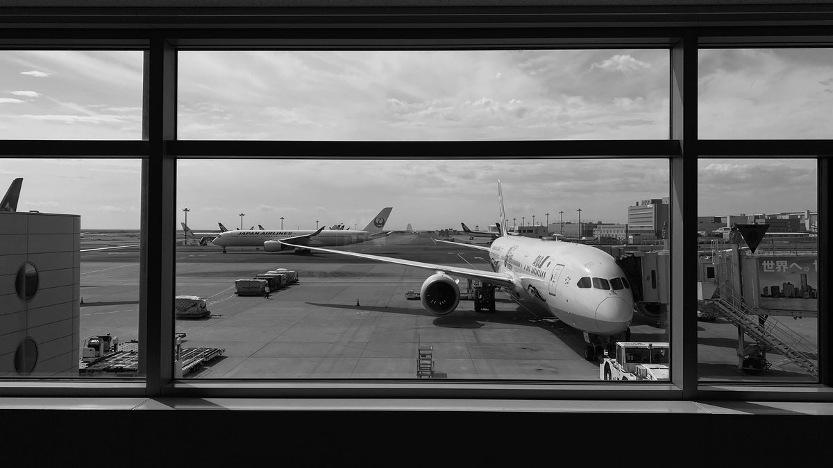 to Paris🇫🇷

#enra
#performance
#tokyo
#Paris2024