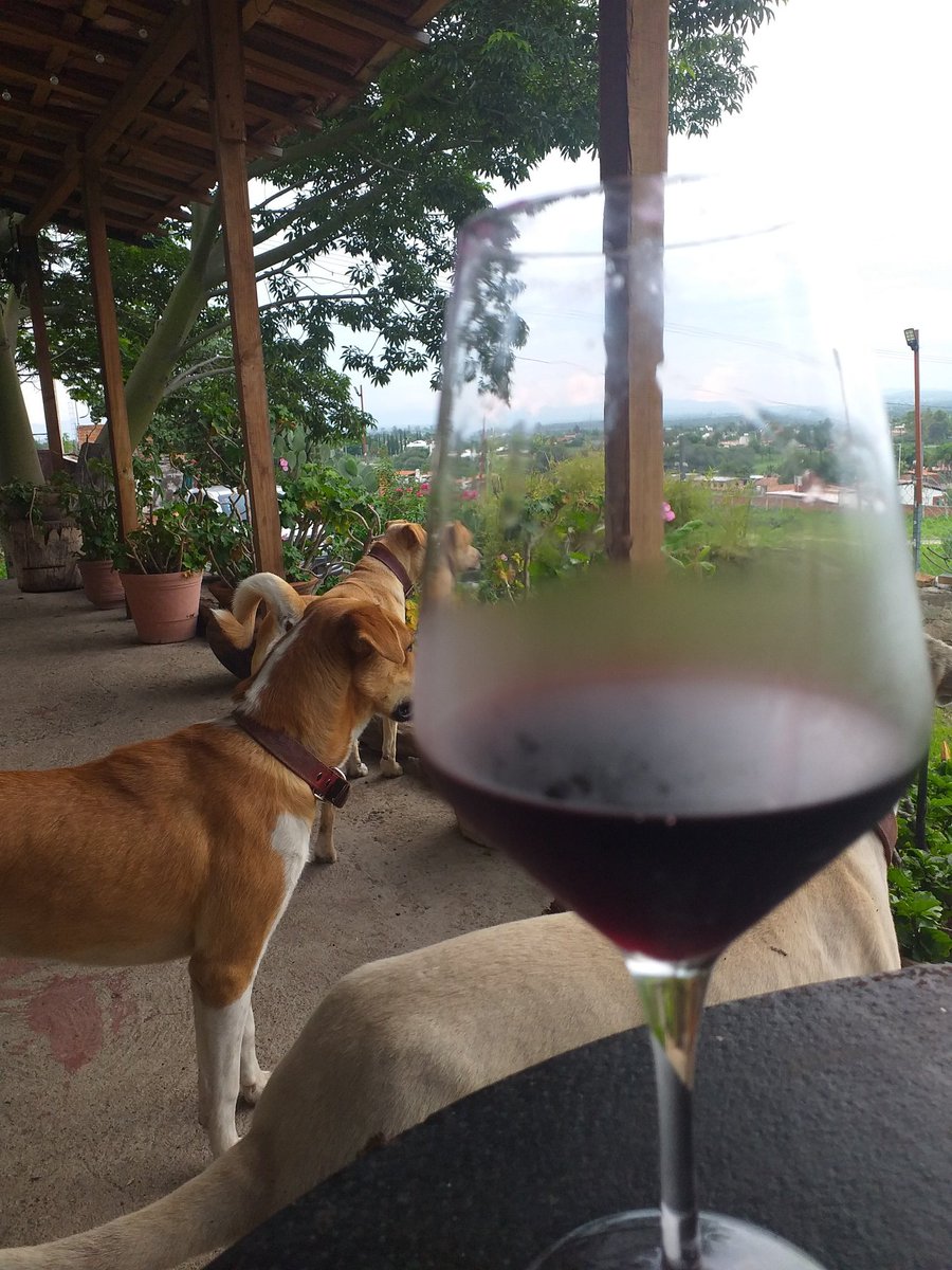 sylsomm29's tweet photo. Esperando a papá
para comer......
#perrijas 🐶 https://t.co/gx2X1Jlidd