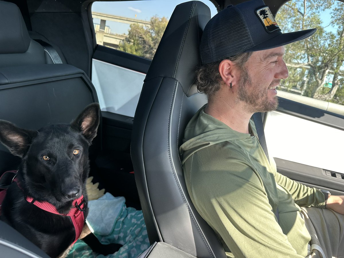 LaTorres Pack tweet media