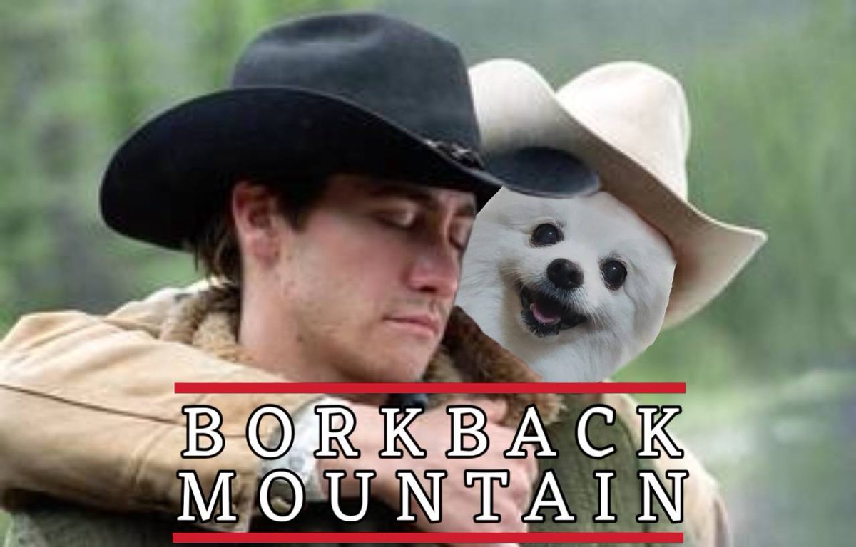 Streaming now! $BORK