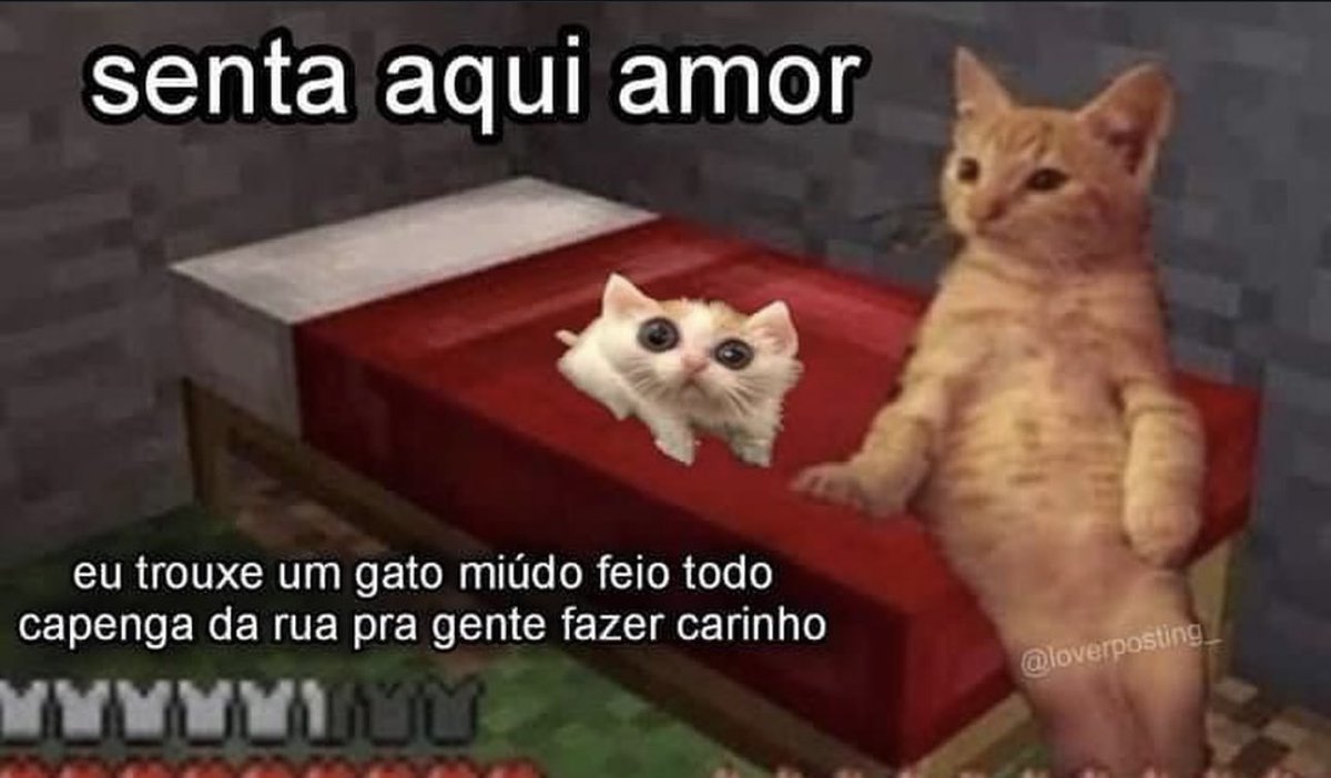 Shitpost só que de verdade (@shitpostverdade) on Twitter photo 