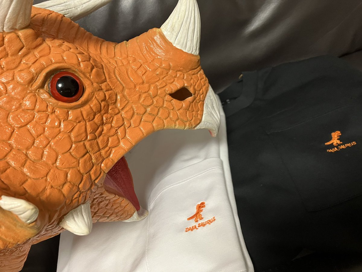 ここ📣🦖ダサザウルス🍊 tweet media