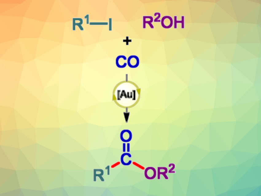 First Gold-Catalyzed Alkoxy-Carbonylation of Aryl and Vinyl Iodides: Carbon monoxide used as a cheap C1 synthon in ester synthesis chemistryviews.org/first-gold-cat…