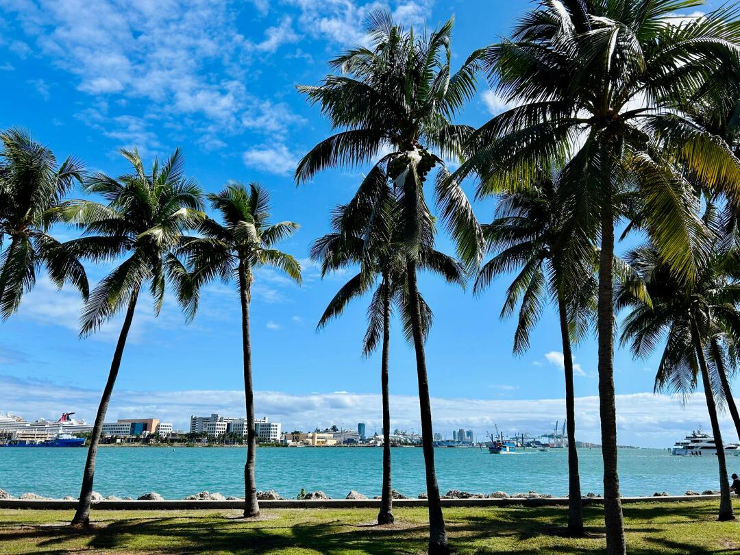 I love the beach in Miami