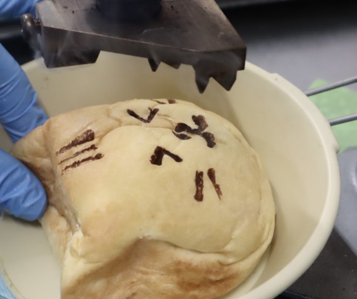 株式会社リノさんでくらしにベルクの新商品「ニャまクリームパン」が