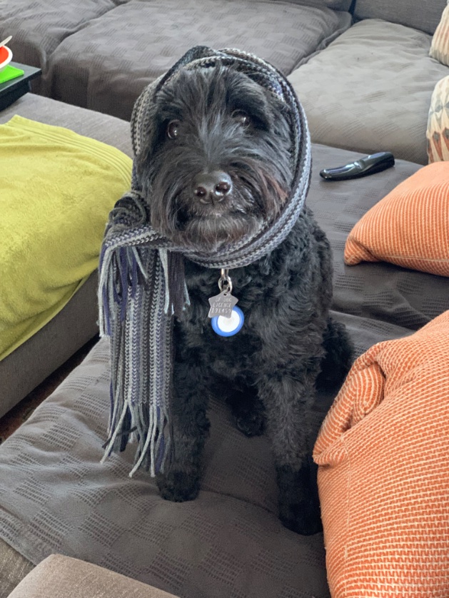 Tim Monks (@itsmonktastic) on Twitter photo 