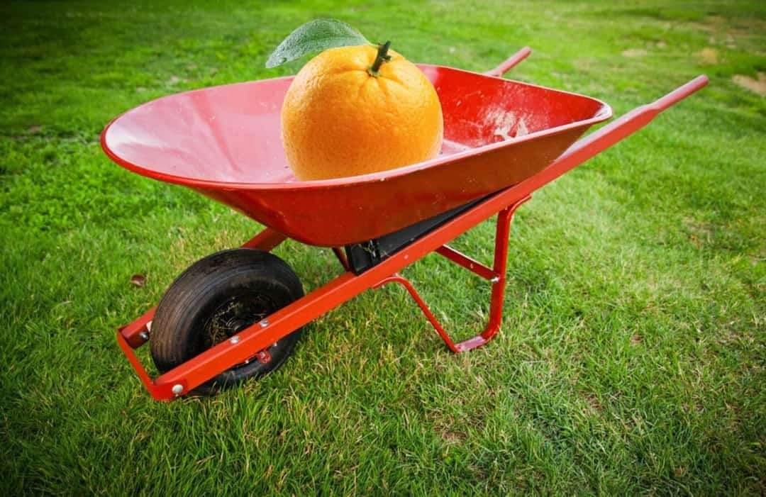 Azimio La Kenya Kwanza.