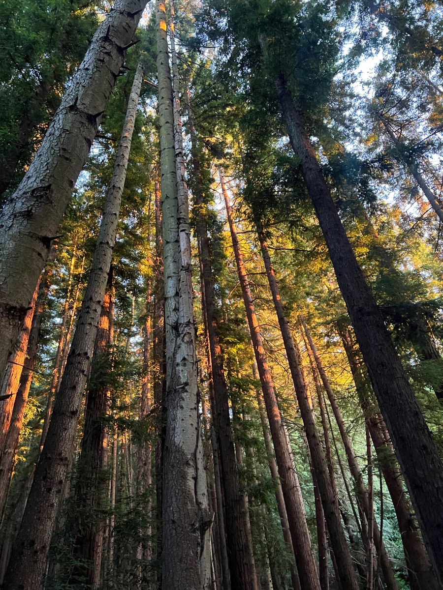 Wilson King tweet media