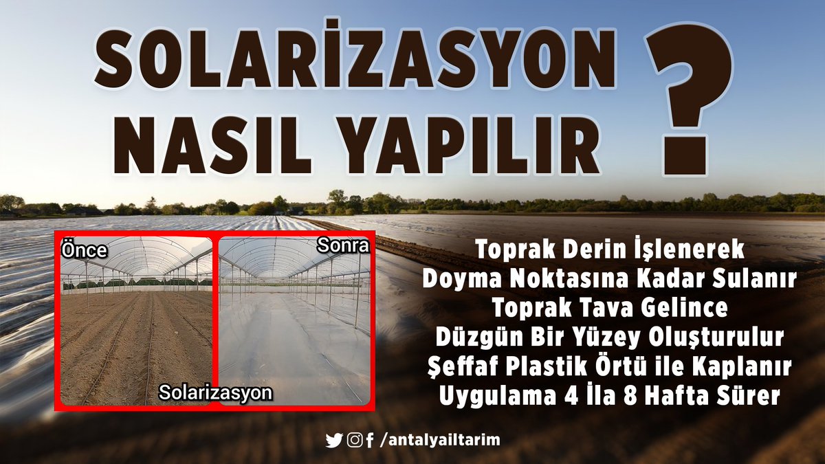 Antalya İl Tarım ve Orman Müdürlüğü (@antalyailtarim) on Twitter photo #solarizasyon Güneş'in ısı enerjisinden yararlanılarak uygulanan bir çeşit termal inaktivasyon yöntemidir.
Tarımda #yabancıot mücadelesinde hem #maliyet hem de #çevresel etki anlamında ön plana çıkan yöntemdir.
#GelecekTarımda
#TarımAntalyada
<a href="/FratErkal/">Fırat Erkal</a> <a href="/ibrahimyumakli/">İbrahim Yumaklı</a> #solarizasyon Güneş'in ısı enerjisinden yararlanılarak uygulanan bir çeşit termal inaktivasyon yöntemidir.
Tarımda #yabancıot mücadelesinde hem #maliyet hem de #çevresel etki anlamında ön plana çıkan yöntemdir.
#GelecekTarımda
#TarımAntalyada
<a href="/FratErkal/">Fırat Erkal</a> <a href="/ibrahimyumakli/">İbrahim Yumaklı</a>