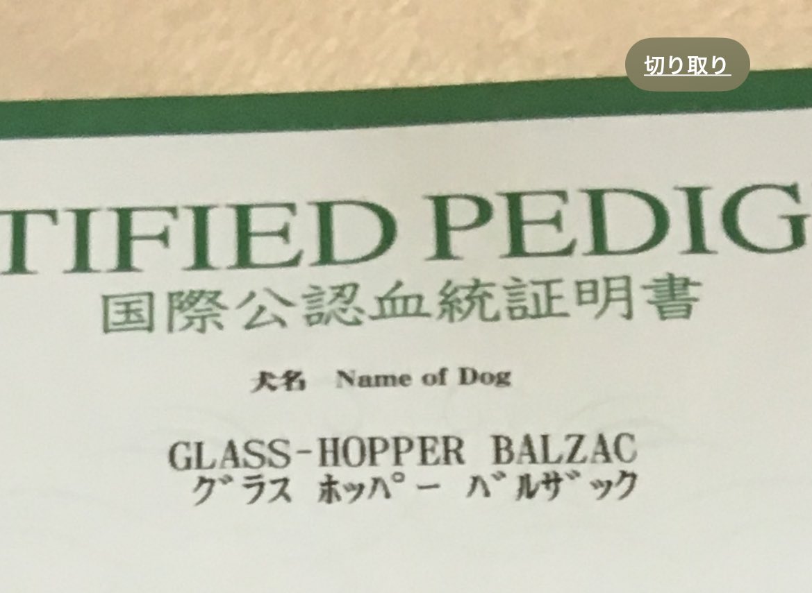 待ってwwwwwww 犬の血統書に本名あるの知らなかった🤣🤣 グラス