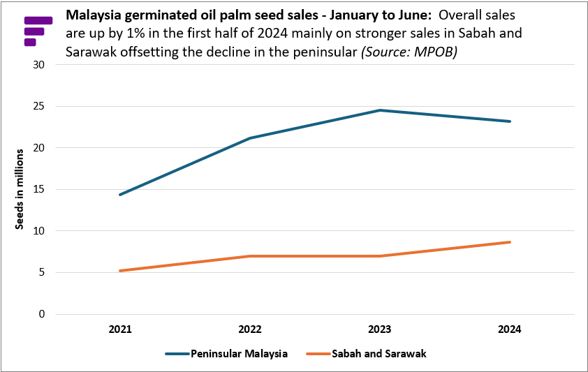 sathia_varqa's tweet photo. Declining oil palm planted area and lower seed sales to limit Malaysia’s palm oil output potential in the next few years. #PalmOil @FastmarketsAG https://t.co/DjxAjva0Ry