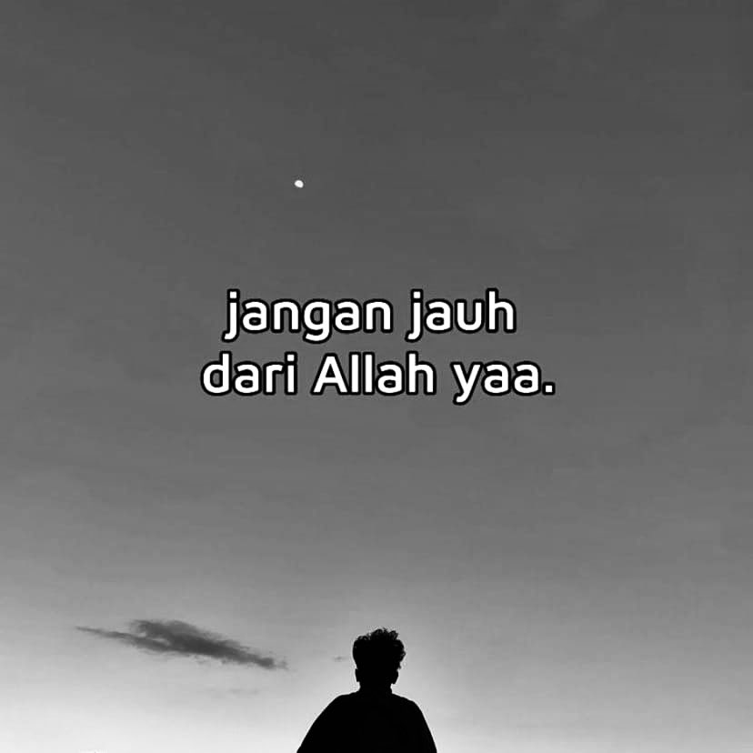 Al__Quraan's tweet image. 