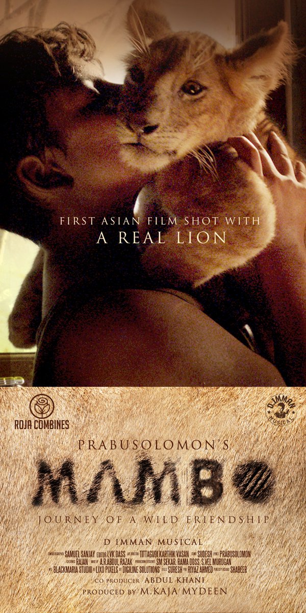 commonmanmedia's tweet photo. Presenting to you the Title look of the '1st Asian film to be shot with a real lion'...

#MAMBO🦁

A @prabu_solomon Film! 🎬
An @immancomposer Musical! 🎼

#Rojacombines #Kaja Mydeen
#Abdul Khani @vijaysrihari23
@iYogiBabu #Tejaswi
#SamuelSanjay #LVKDoss
#KarthickVasan #Sudesh https://t.co/tYp4wEVFxx