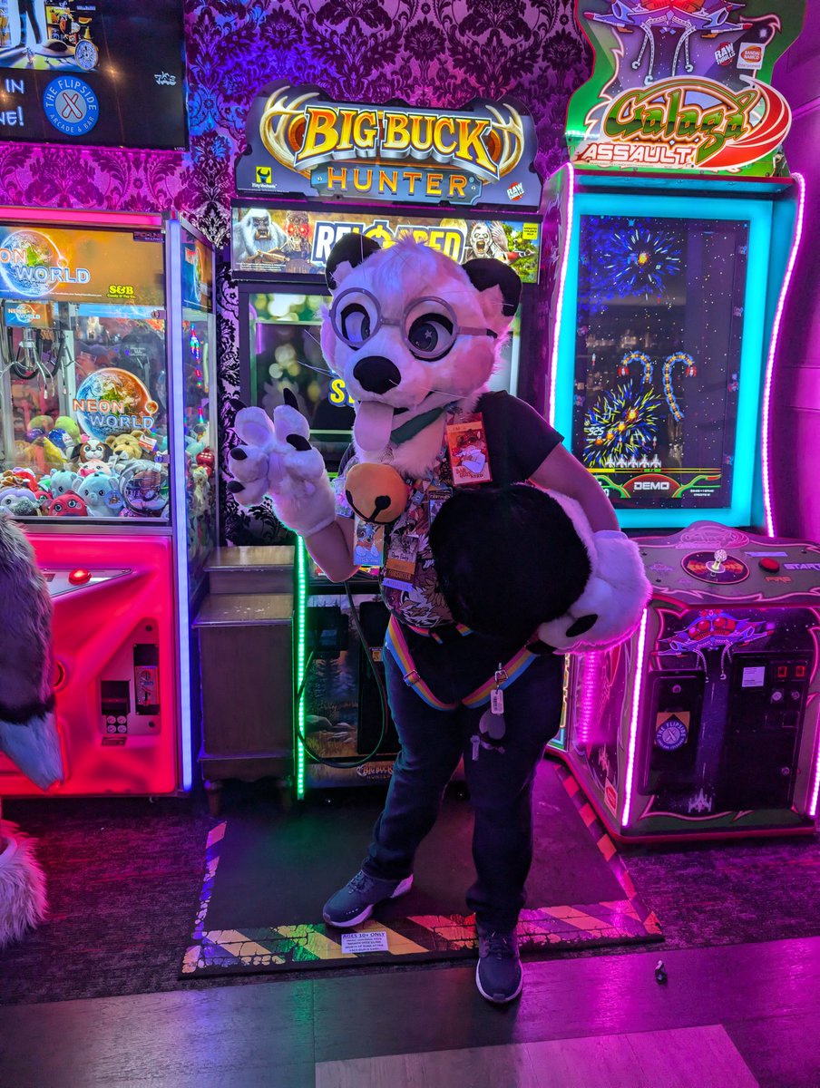 DongDongWeasel's tweet photo. Went to a Furry Pinball meet in Loveland, CO! It was at The Flipside! https://t.co/nRRtkWl1R9
