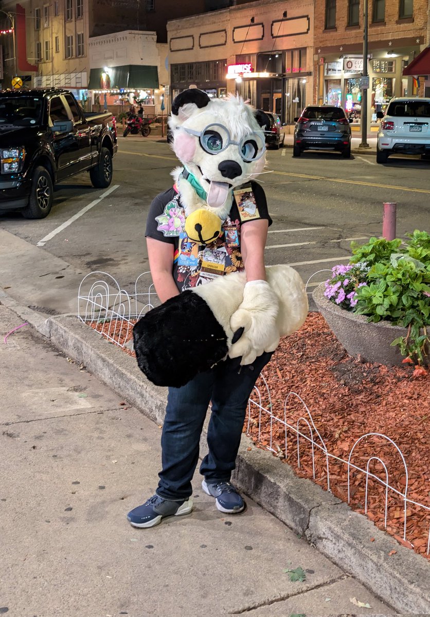 DongDongWeasel's tweet photo. Went to a Furry Pinball meet in Loveland, CO! It was at The Flipside! https://t.co/nRRtkWl1R9
