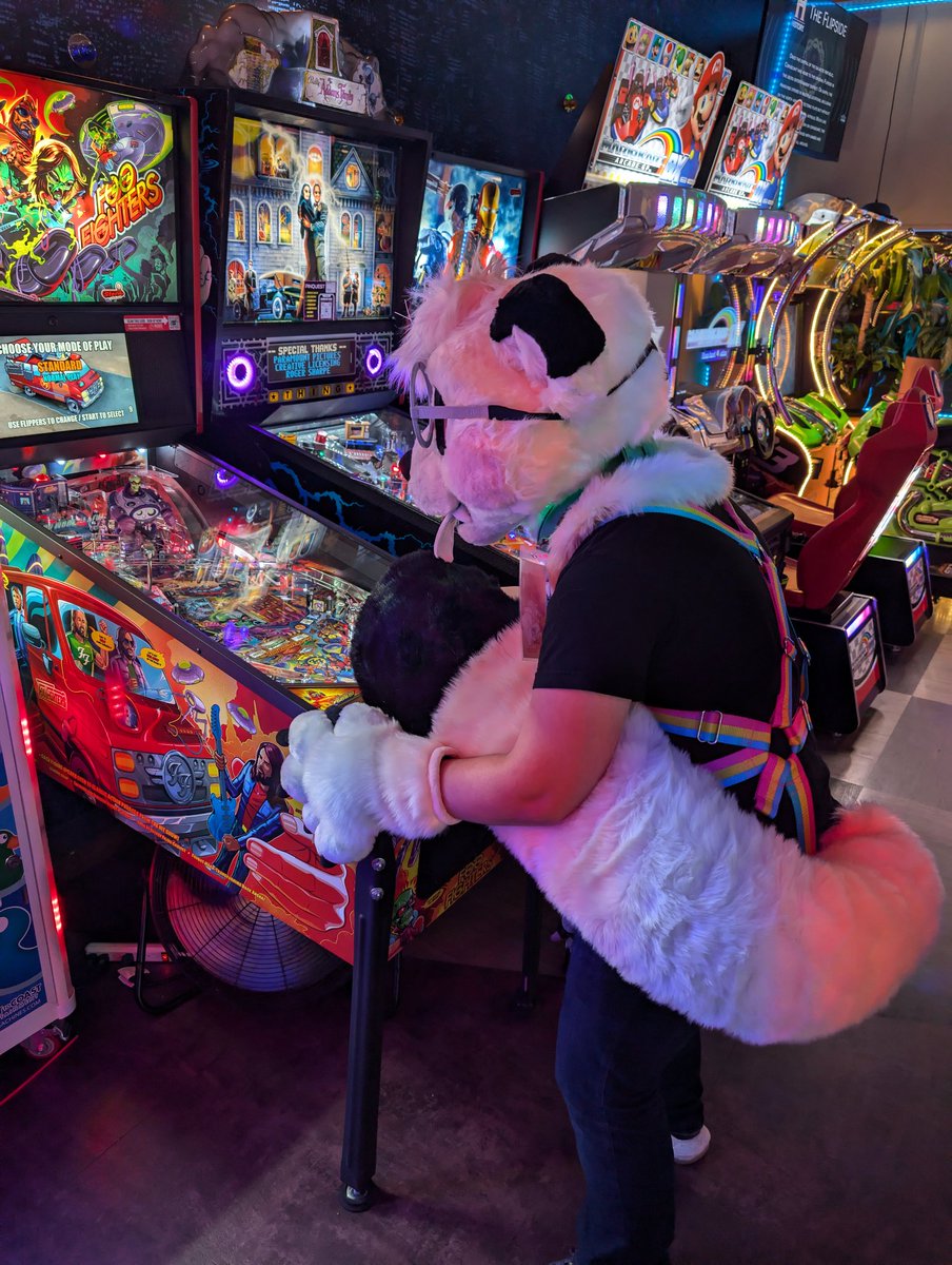 DongDongWeasel's tweet photo. Went to a Furry Pinball meet in Loveland, CO! It was at The Flipside! https://t.co/nRRtkWl1R9