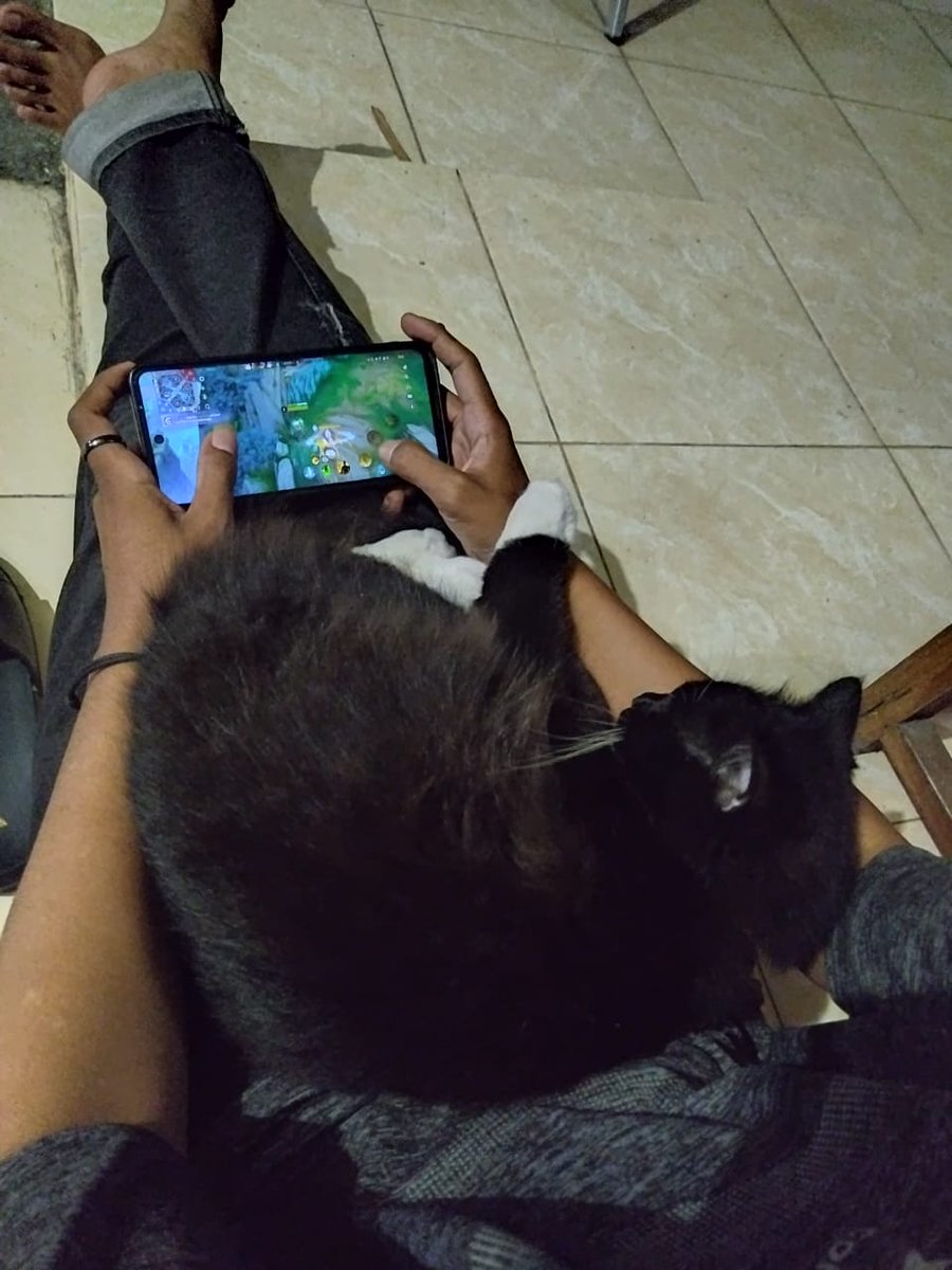 wingz_just's tweet photo. Her paw... I can't... Soo cute 🥹 https://t.co/Kj8mbI8mH6