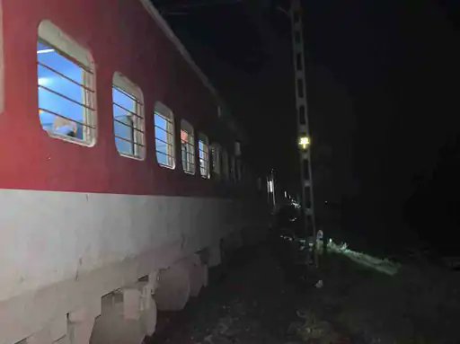 Forest officer suspended after lion’s death on railway tracks in Amreli