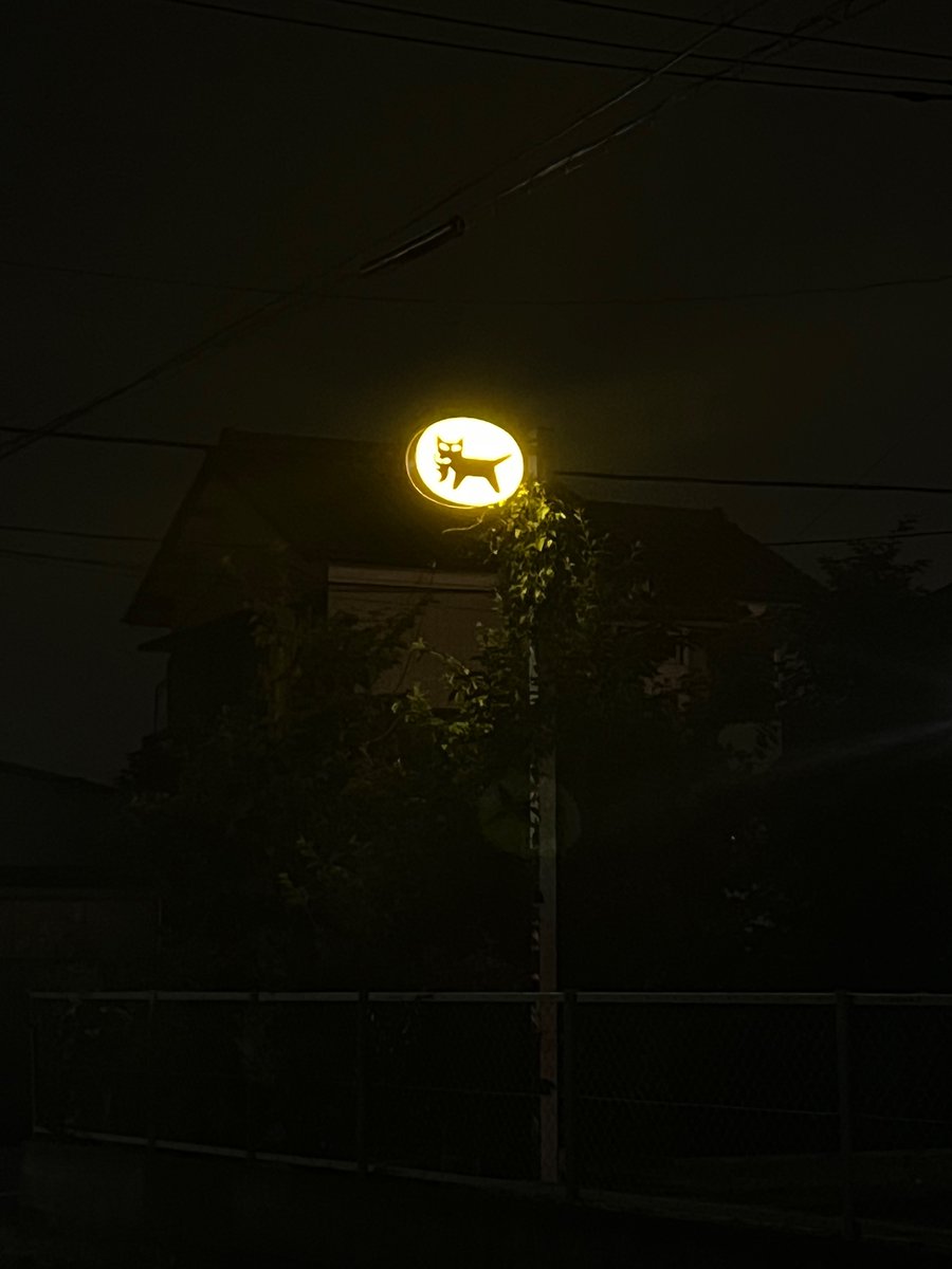 tatograph_'s tweet photo. 深夜徘徊 with iPhone 撮って出し https://t.co/q6X6Y2qUPg
