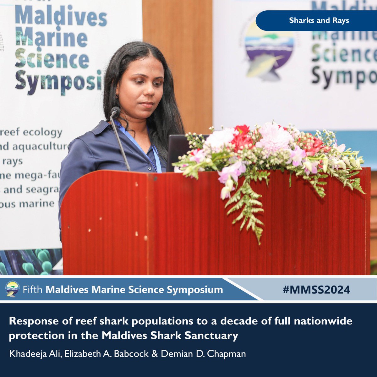 Maldives Marine Research Institute tweet media