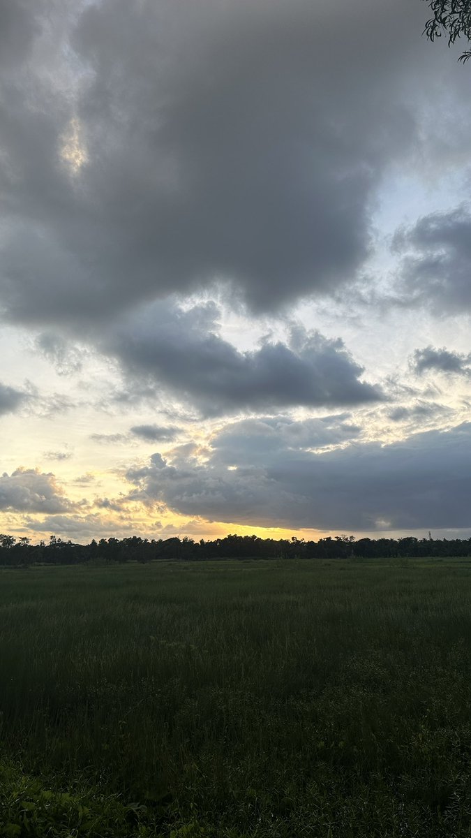 Our minds are trained to adapt to change. But, never adapt to surrounding goals of other people forgetting your own goal, your own reason to do that thing. 💫💙