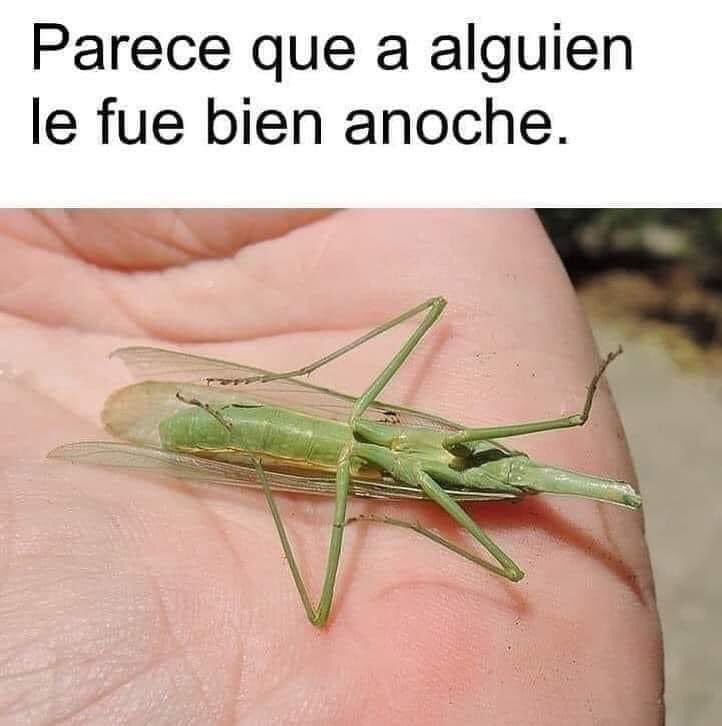 Brujo_Belico's tweet photo. Le fue chido, hahahaha💦 https://t.co/koKYUXGiBH